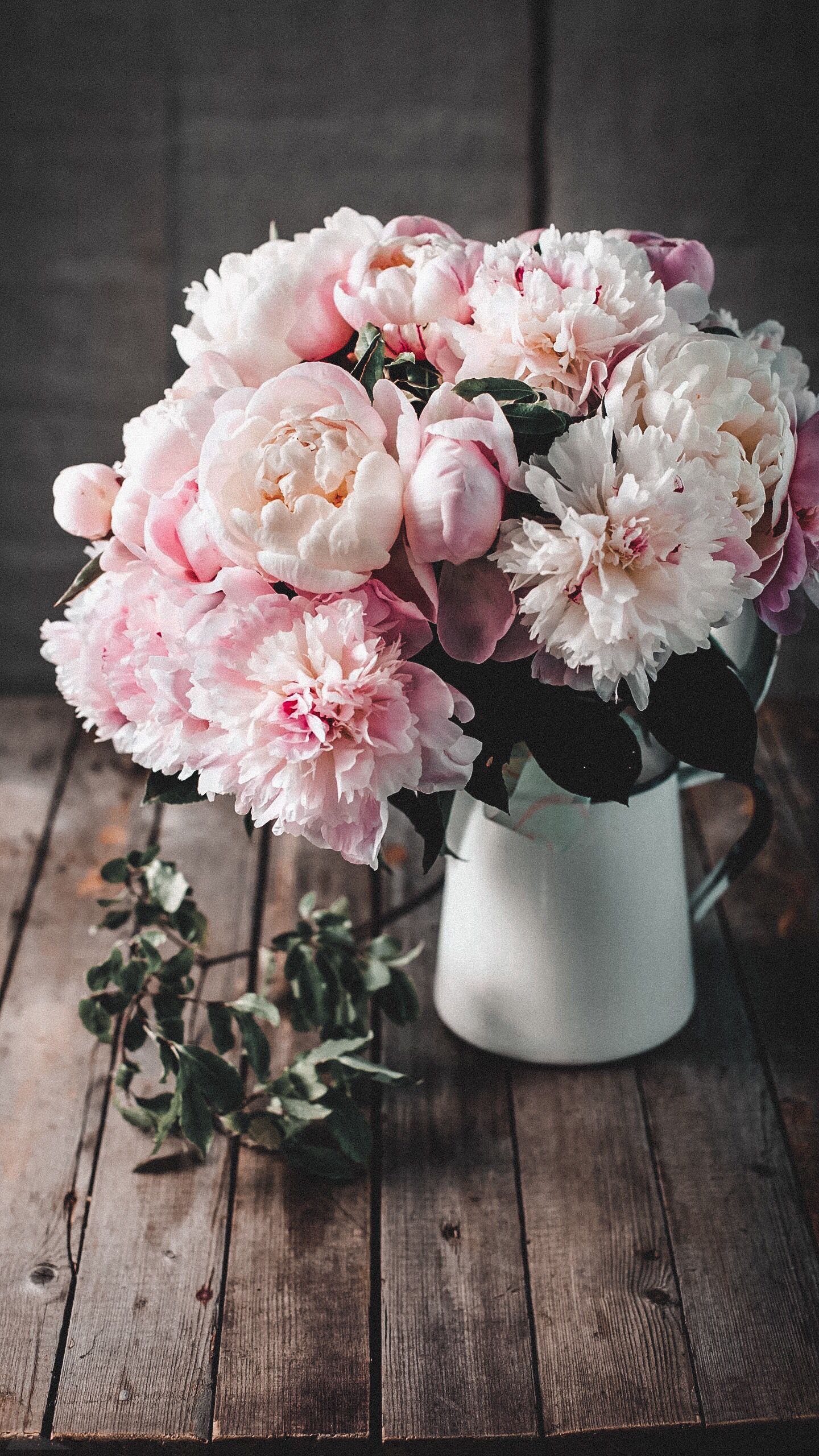 1440x2560  Flower wallpaper for phone | Цветочные контейнеры, Розовые пионы,  Пастельные цветы