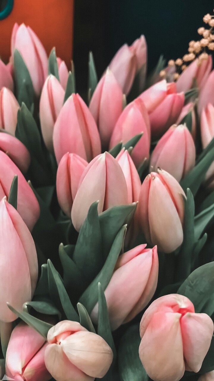 720x1280  Пин от пользователя Nurgul Serikova на доске Букет цветов | Фотография  цветов, Свежие цветы, Цветочные фоны