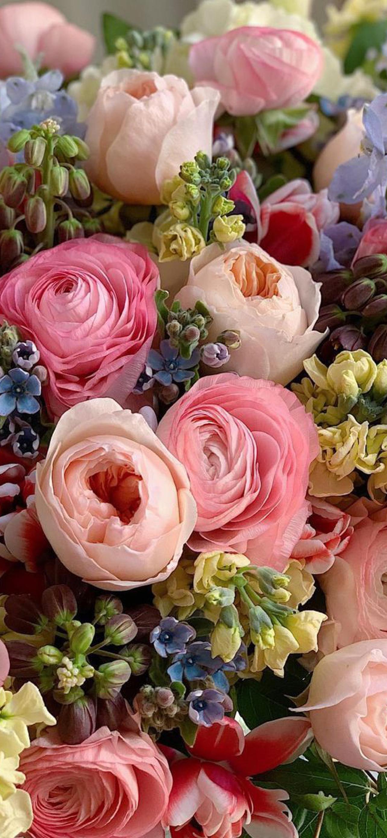 1284x2778  Букеты цветов обои на телефон [20+ изображений]