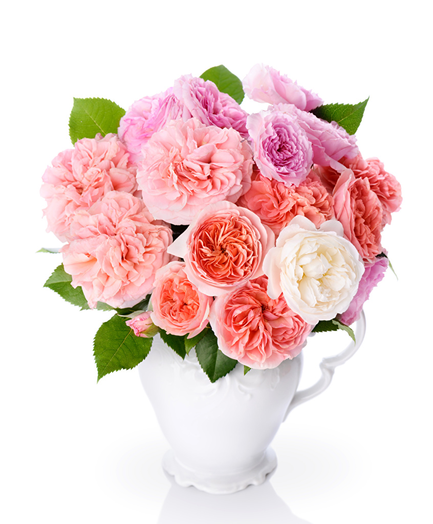 846x1024  Wallpapers for iPhone by @katerina.myshkina_ | Обои для телефона, Обои для  ipod, Обои фоны