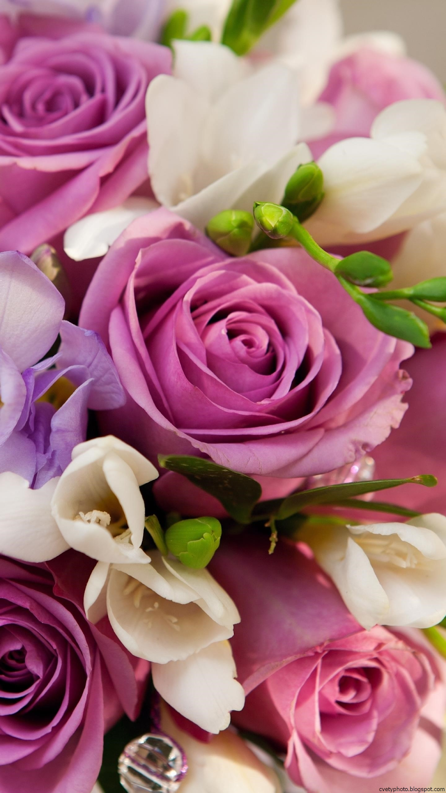 900x1600  Цветы. #Flowers. #Pions. #Аромат. #Пионы. | Flower iphone wallpaper, Peony  wallpaper, Beautiful flowers