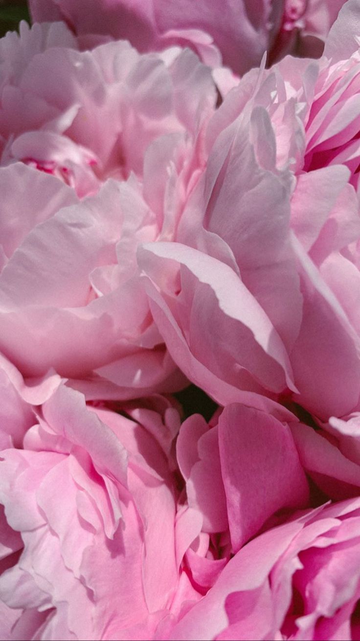 736x1309  Скачать обои \"Букеты\" на телефон в высоком качестве, вертикальные картинки \" Букеты\" бесплатно