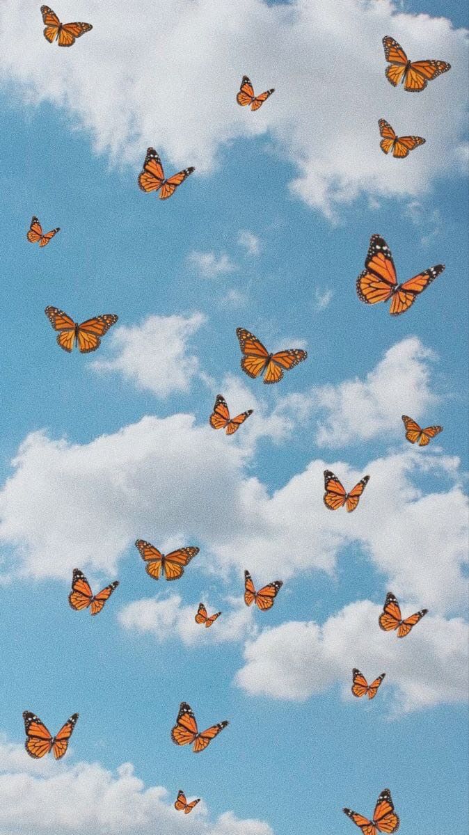 674x1200  Обои на телефон | Sfondi carini, Sfondi vintage, Sfondi iphone