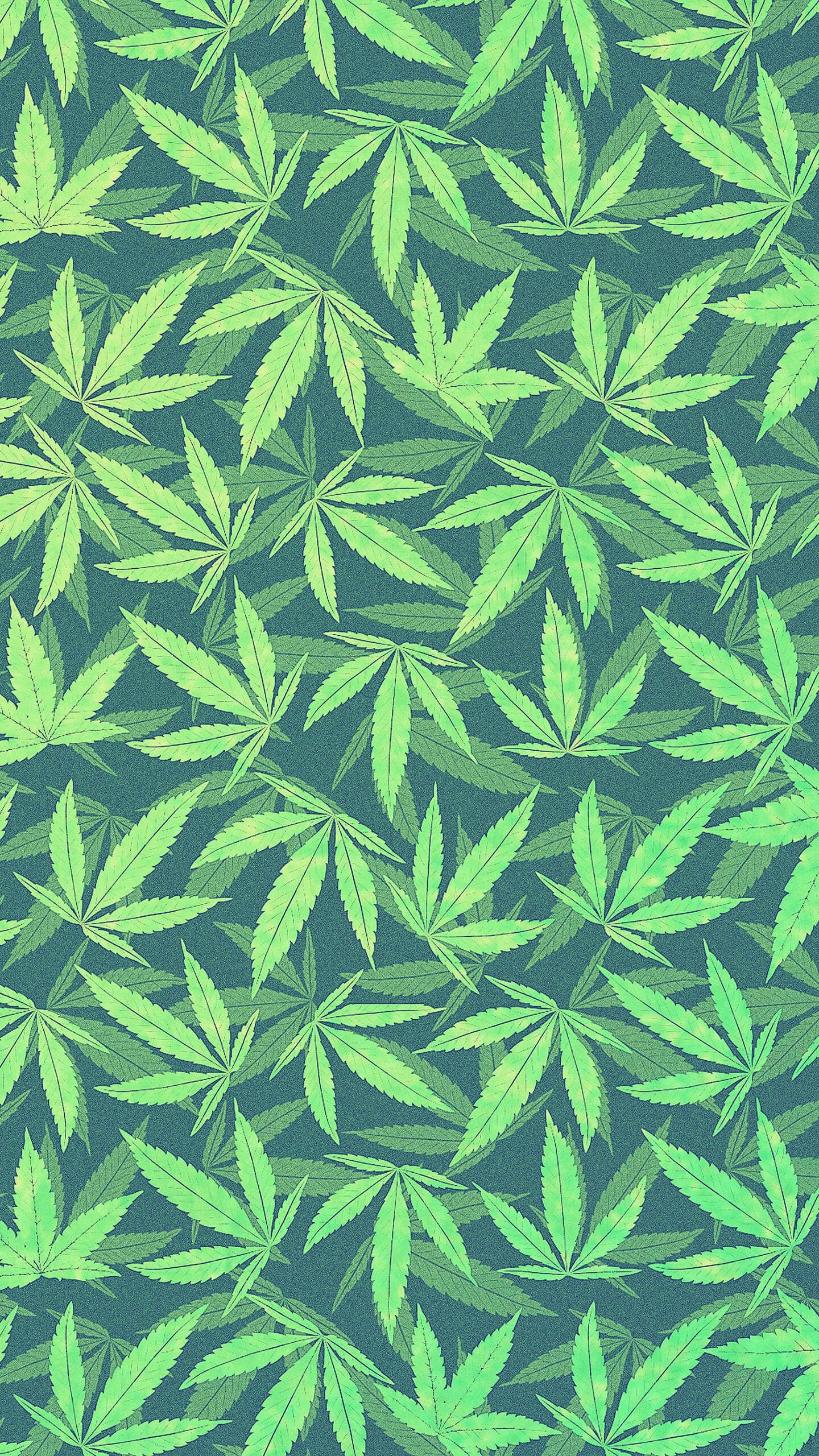 1440x2560  Конопля