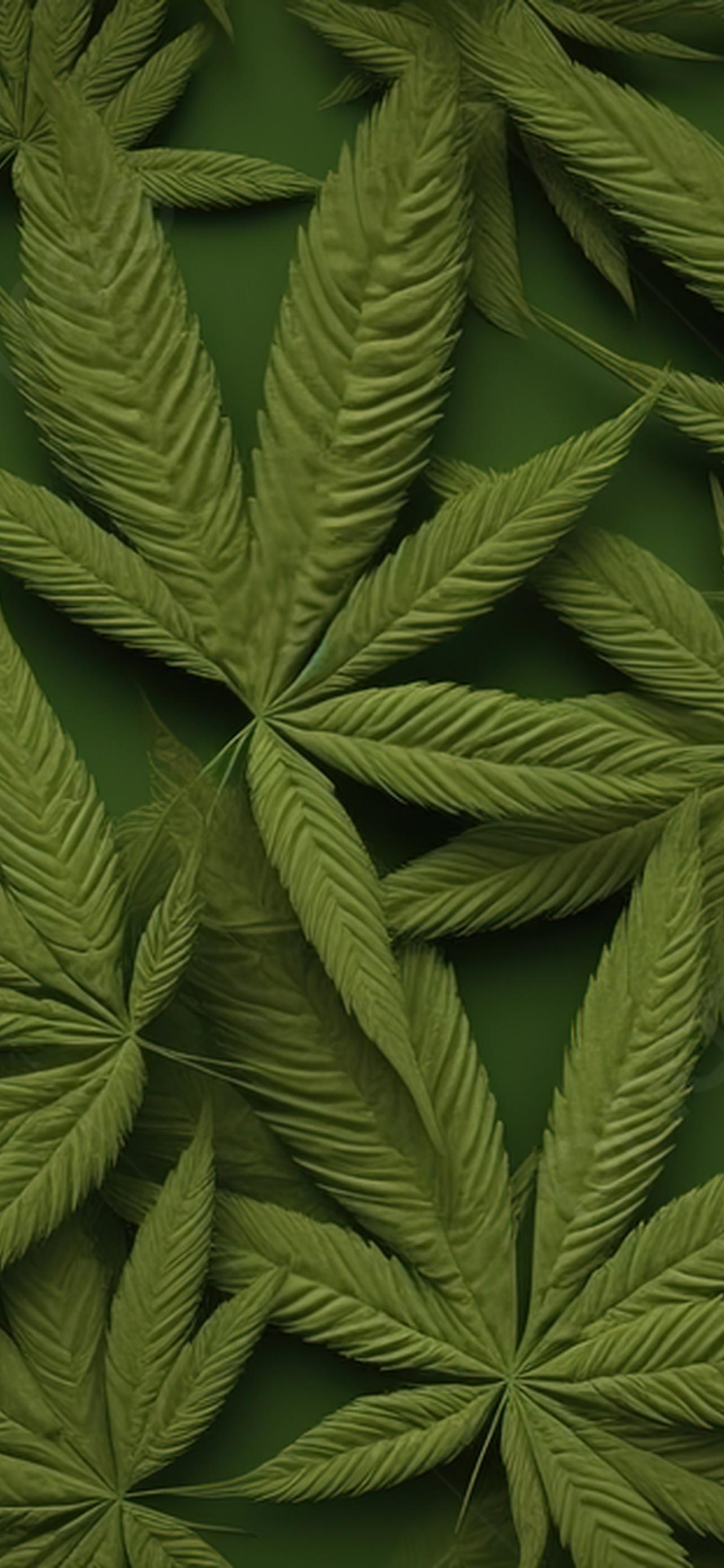 1284x2778  Конопля обои на телефон [26+ изображений]