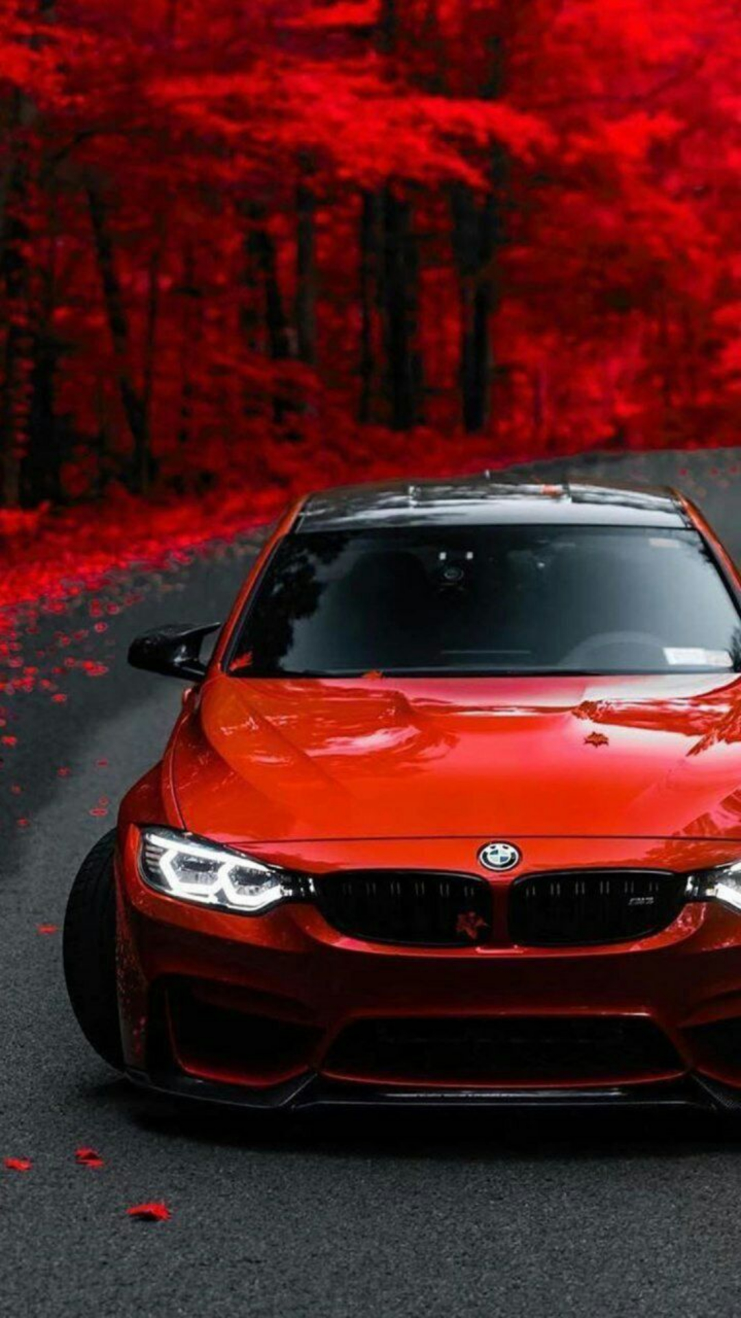 1080x1920  Обои на телефон 1080×1920 от 28.09.2020 (42 штук) | Zamanilka