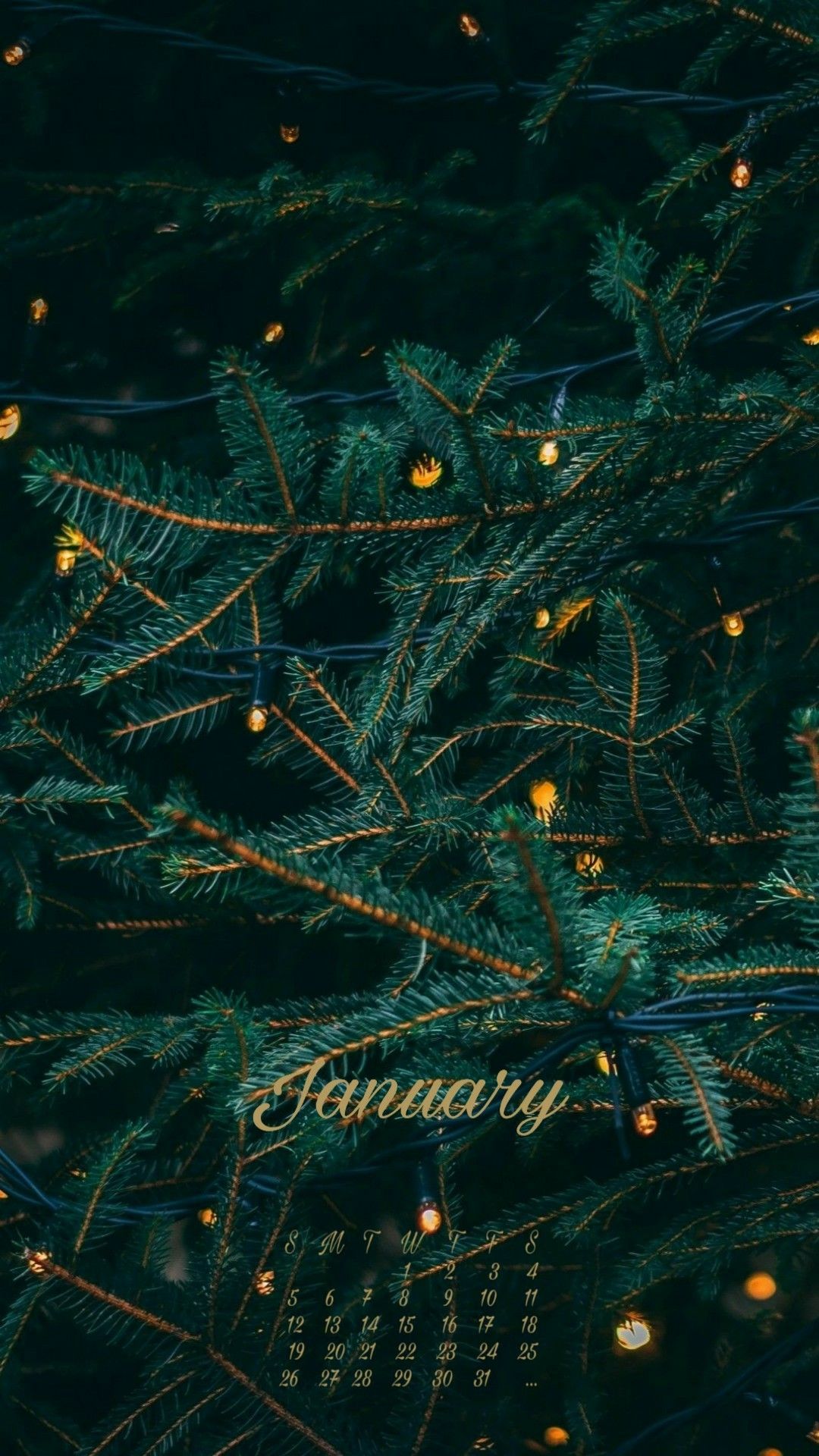 1080x1920  Январь 2020 Новый Год календарь обои на экран блокировки | Christmas phone  wallpaper, Christmas wallpaper backgrounds, Christmas wallpaper