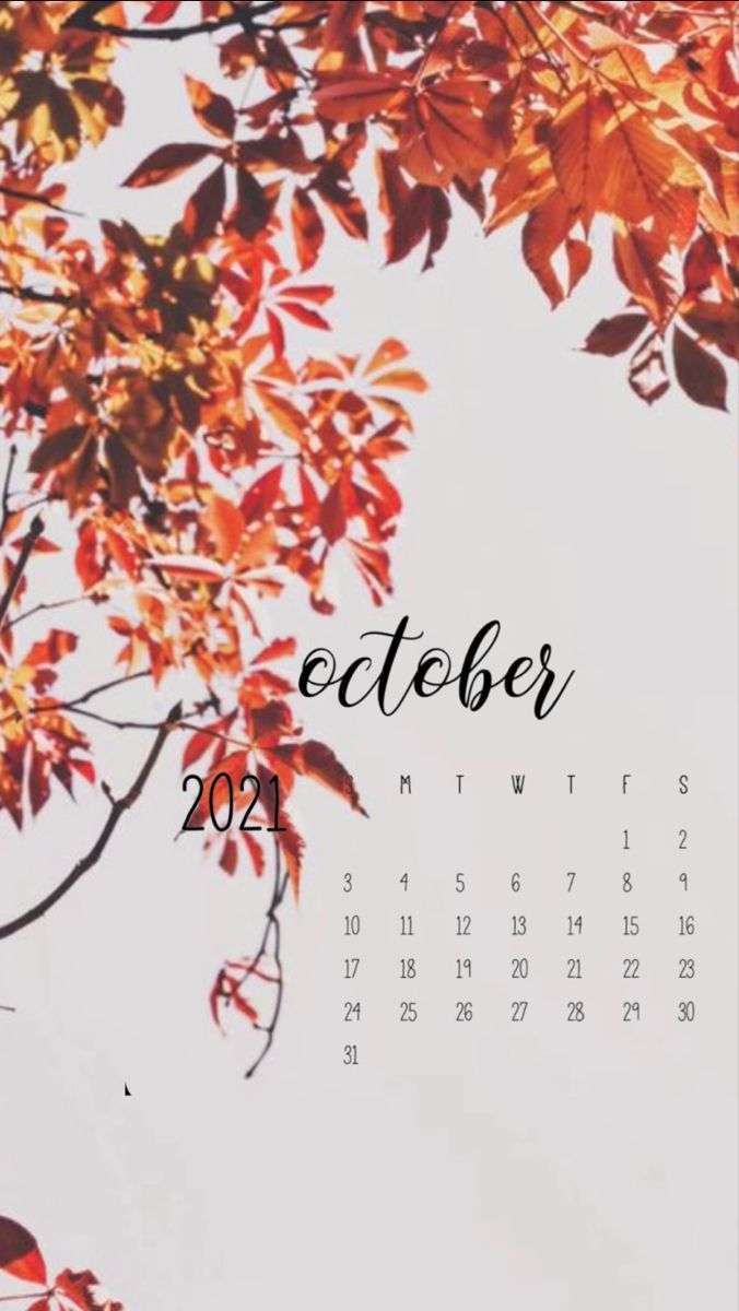 676x1200  Календари-заставки на октябрь от читателей The Village Екатеринбург ❤️