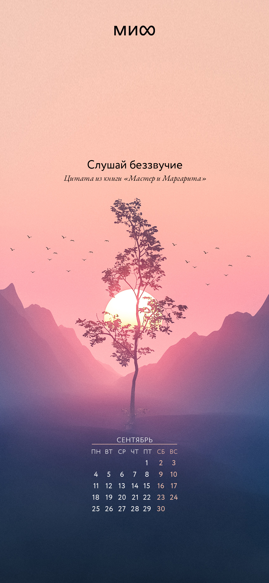 1125x2436  Октябрь календарь мобильные обои акварель ромашки Фон Обои Изображение для  бесплатной загрузки - Pngtree