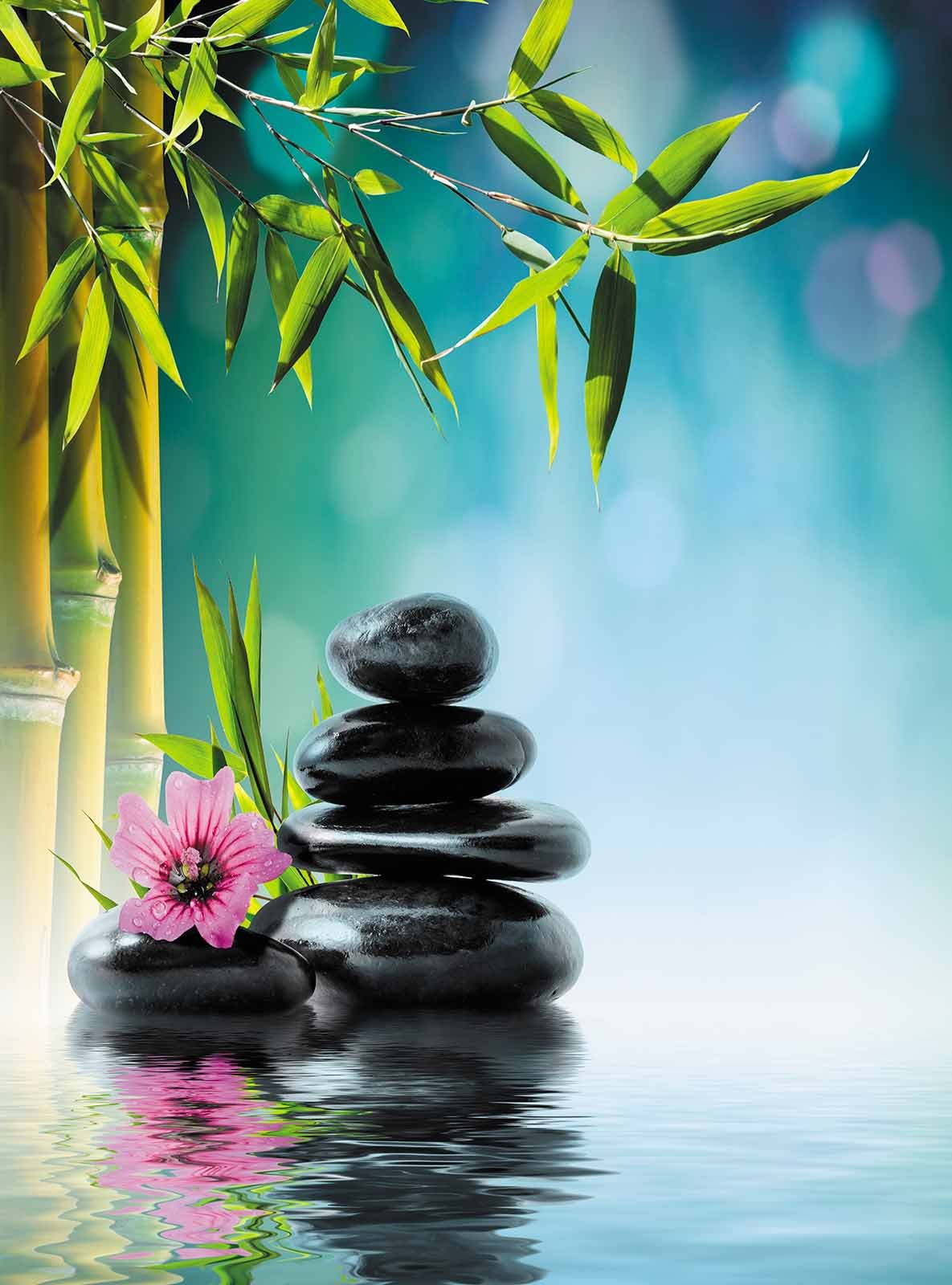 1185x1600  Фен шуй картинки - 69 фото