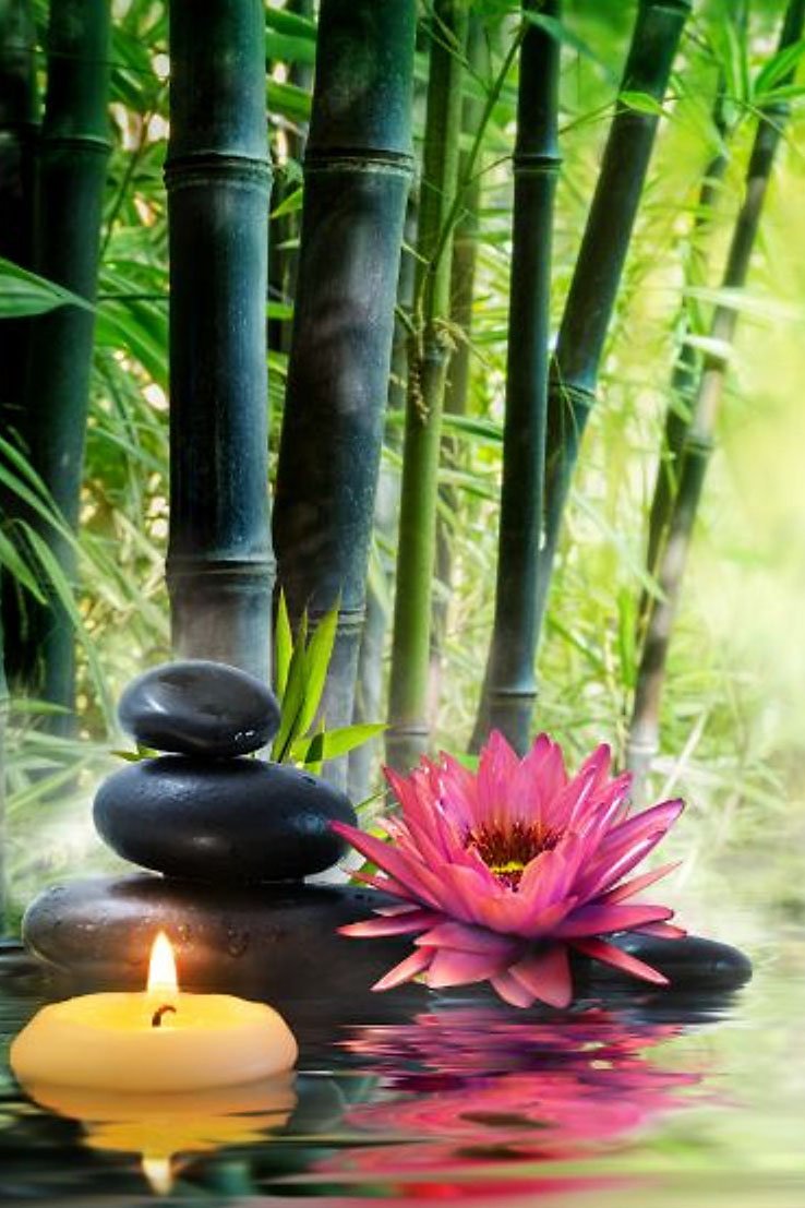 738x1107  Фен шуй картинки - 69 фото