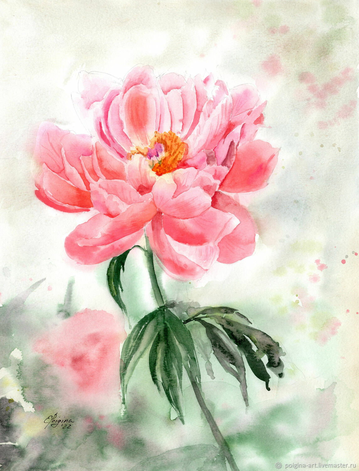 1144x1500  ТЕЛЛИ • косметология • косметика • гомеопатия (@tellikz) • Instagram photos  and videos