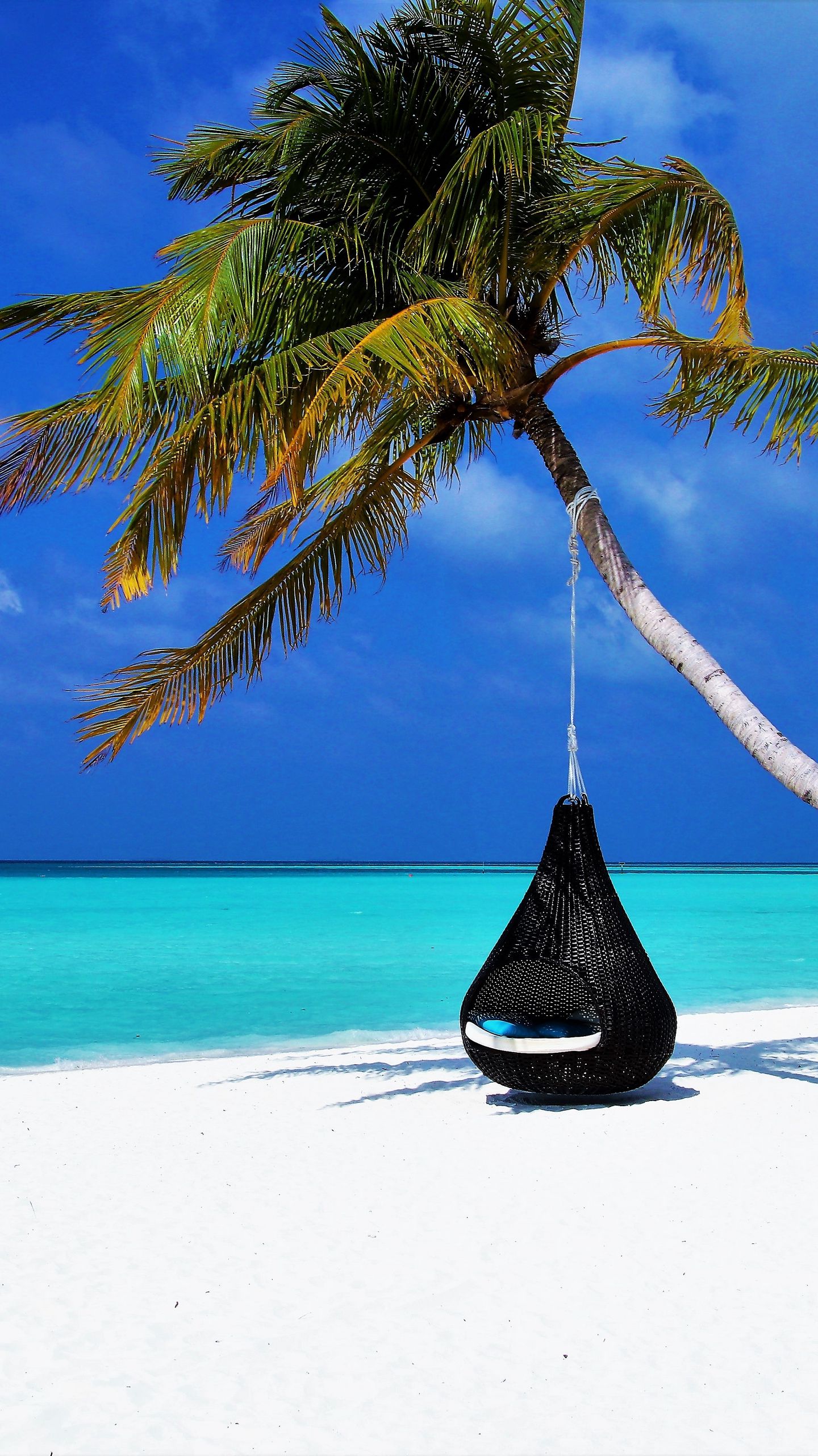 1440x2560  Скачать 1440x2560 мальдивы, пальма, пляж, релакс, отдых, океан, песок,  курорт обои, картинки qhd samsung galaxy s6, s7, edge, note, lg g4