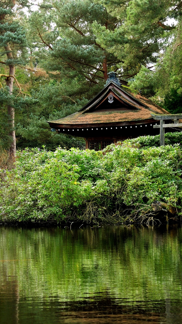 720x1280  Обои релаксация, природа, растительность, природный заповедник, дерево для  HD Samsung Galaxy S3/J3/J4/J5, Meizu M5, Sony Xperia L1/L2 бесплатно,  заставка 720x1280 - скачать картинки и фото