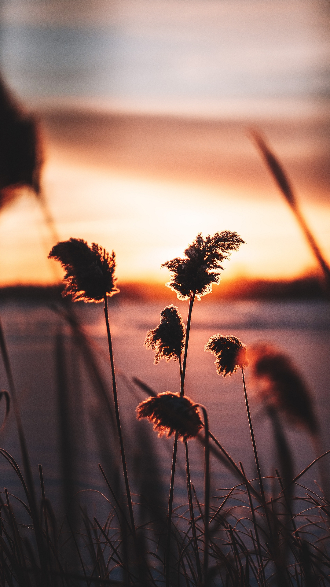 1080x1920  Релакс обои на телефон (26 фото)