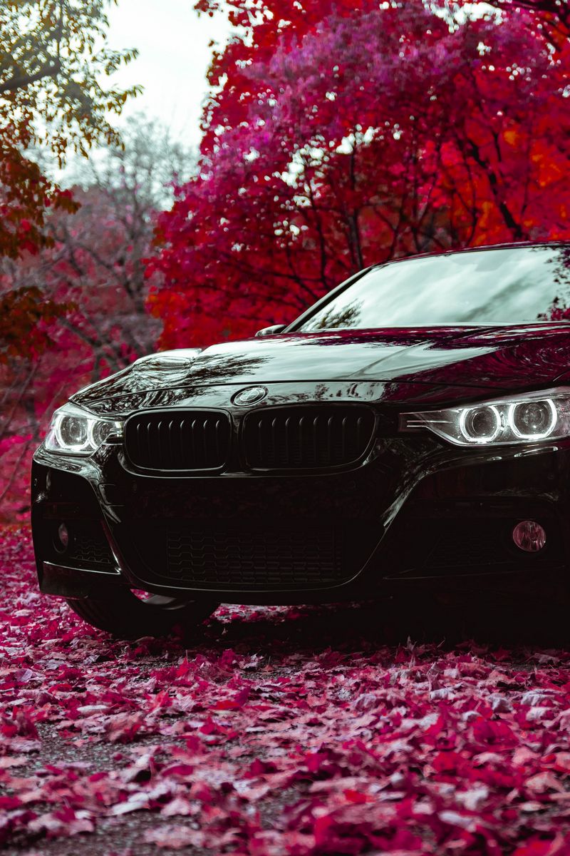 800x1200  Смартфон Samsung Galaxy A73 6/128GB White (SM-A736BZWDCAU) - отзывы  покупателей на маркетплейсе Мегамаркет | Артикул: 100036860404