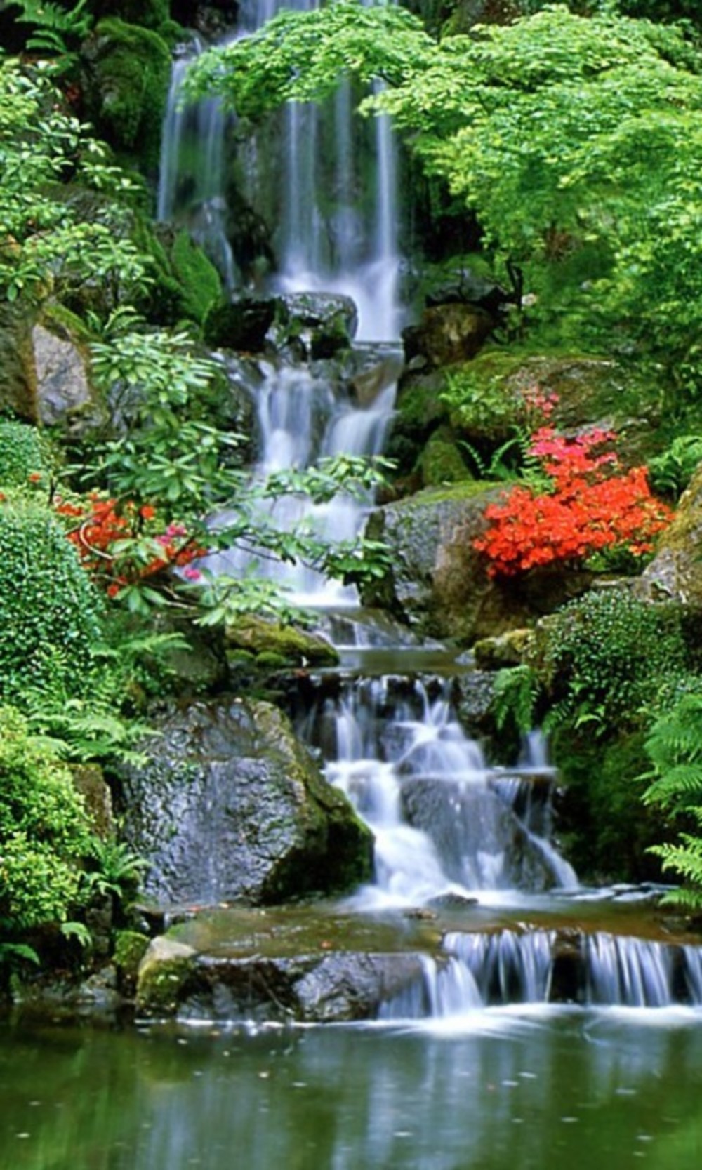 1000x1667  Водопад - Картинка на телефон / Обои на рабочий стол №1203741