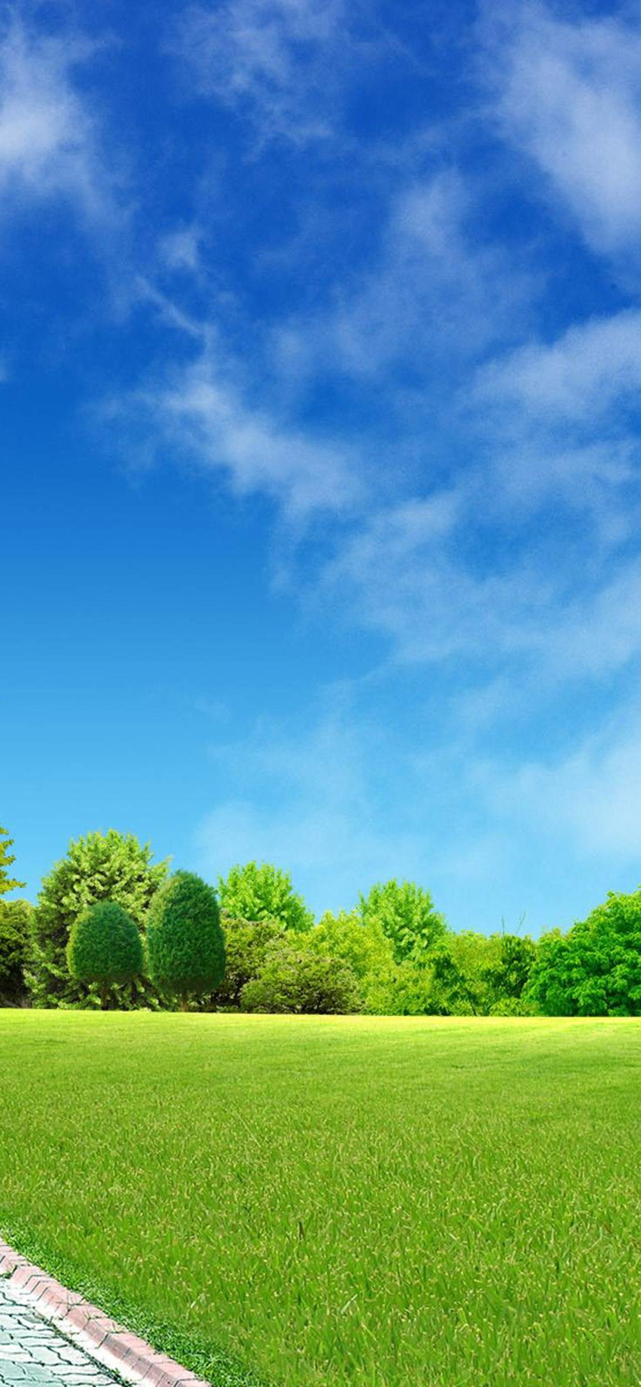 1284x2778  Категория Обои на телефон обои скачать на рабочий стол