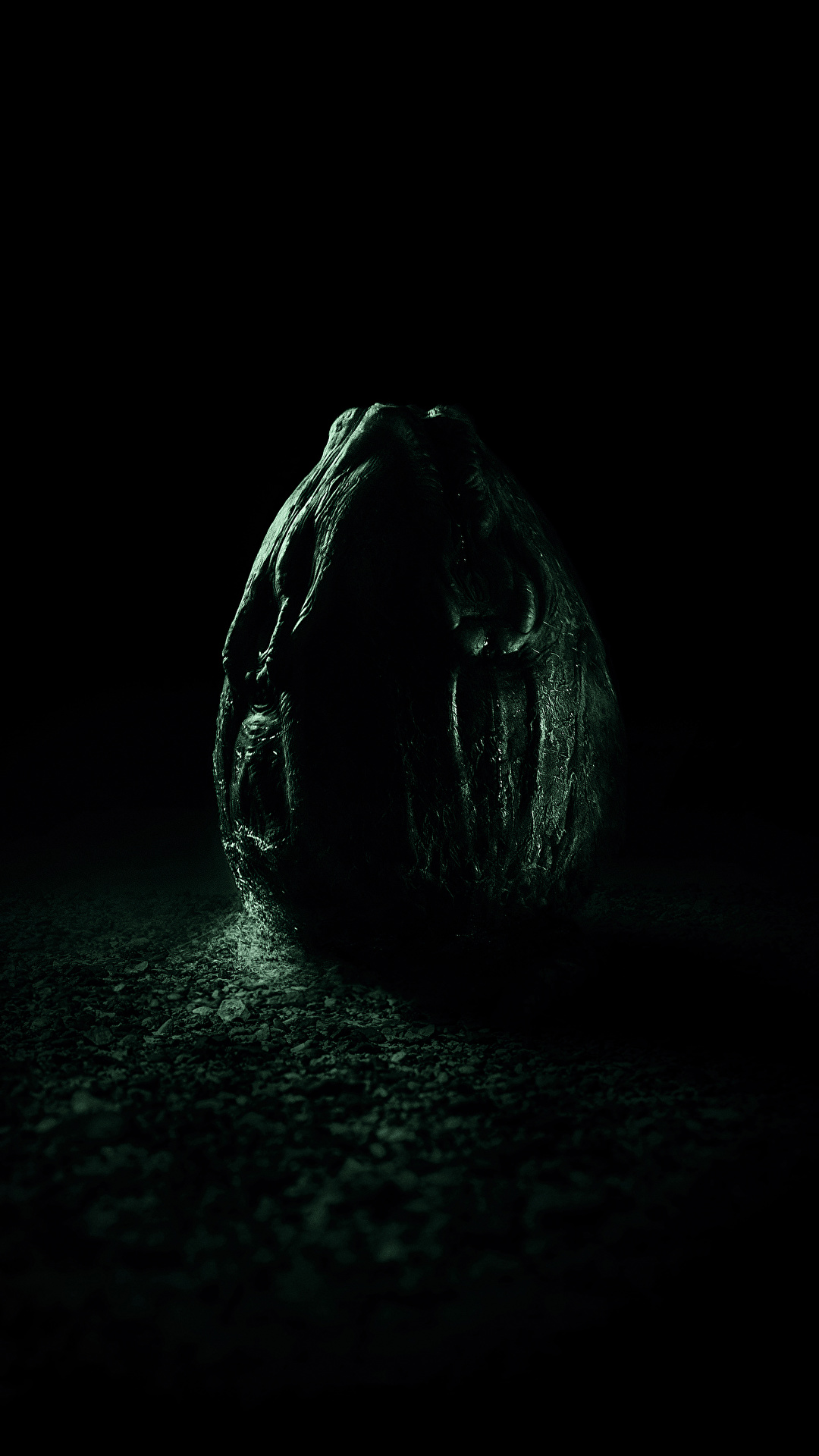 1080x1920  Картинки на телефон хищник высокого качества (62 фото) » Фоны и обои для  рабочего стола. Картинки для заставки на телефон