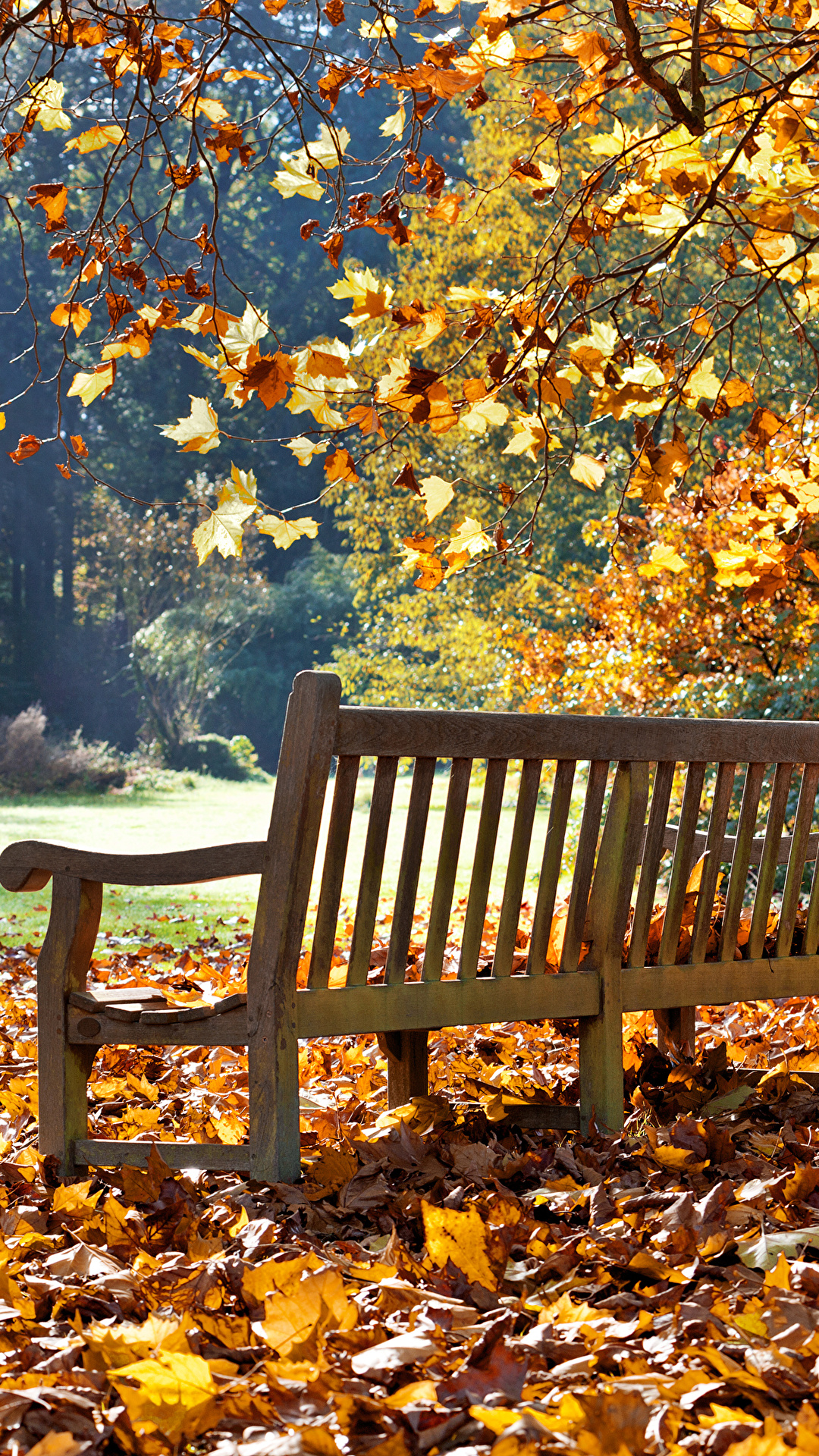 1080x1920  Картинки Листья Осень Природа Парки Скамья 1080x1920