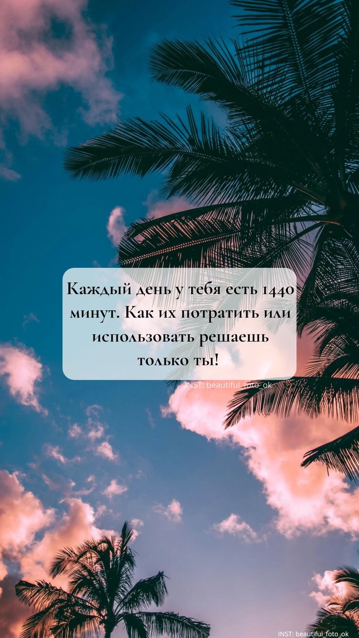 736x1308  Обои на телефон, мотивация | Мотивация, Смешные открытки, Красивые цитаты