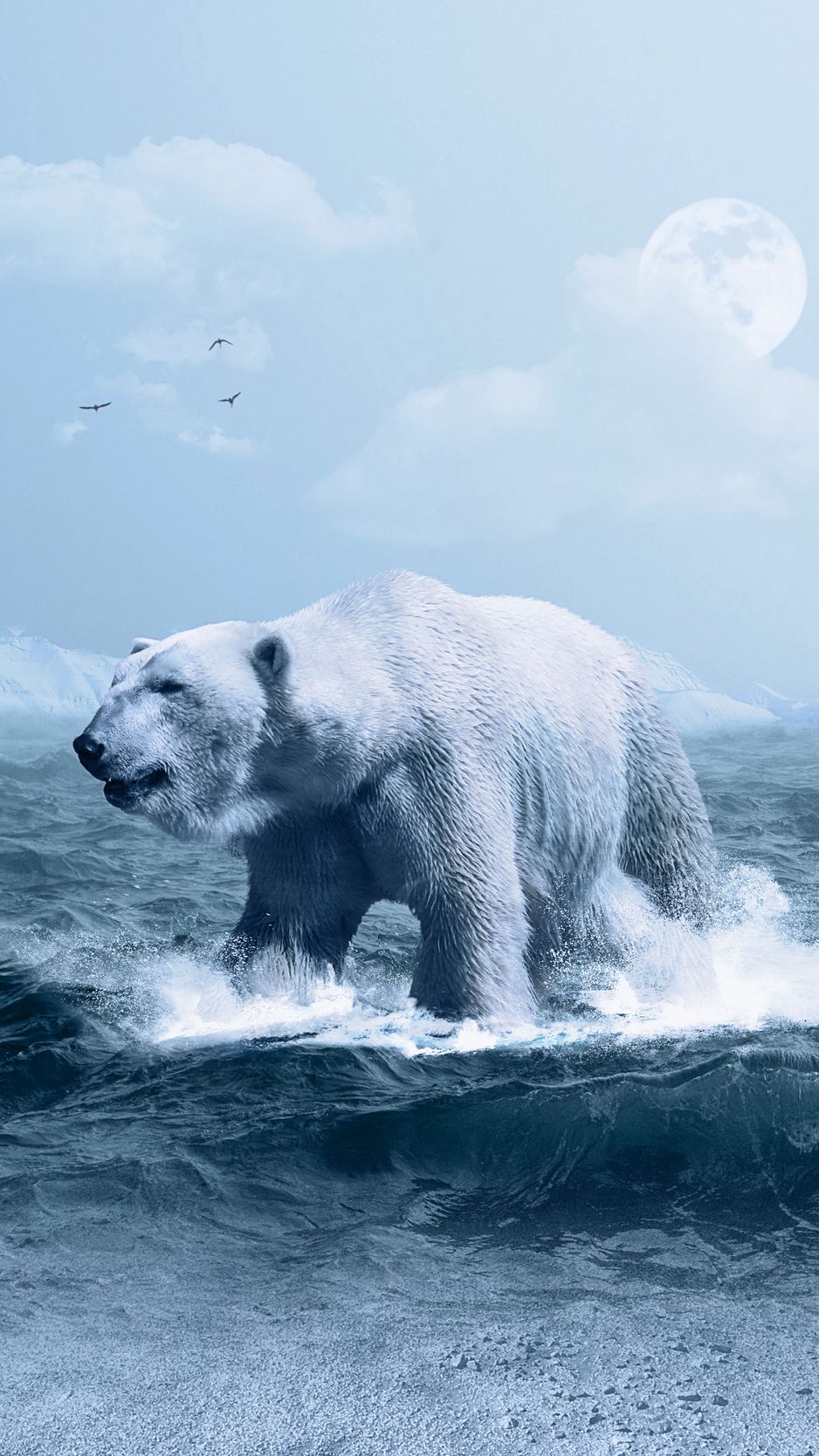 938x1668  Обои Белый медведь, голова, скала 750x1334 iPhone 8/7/6/6S Изображение