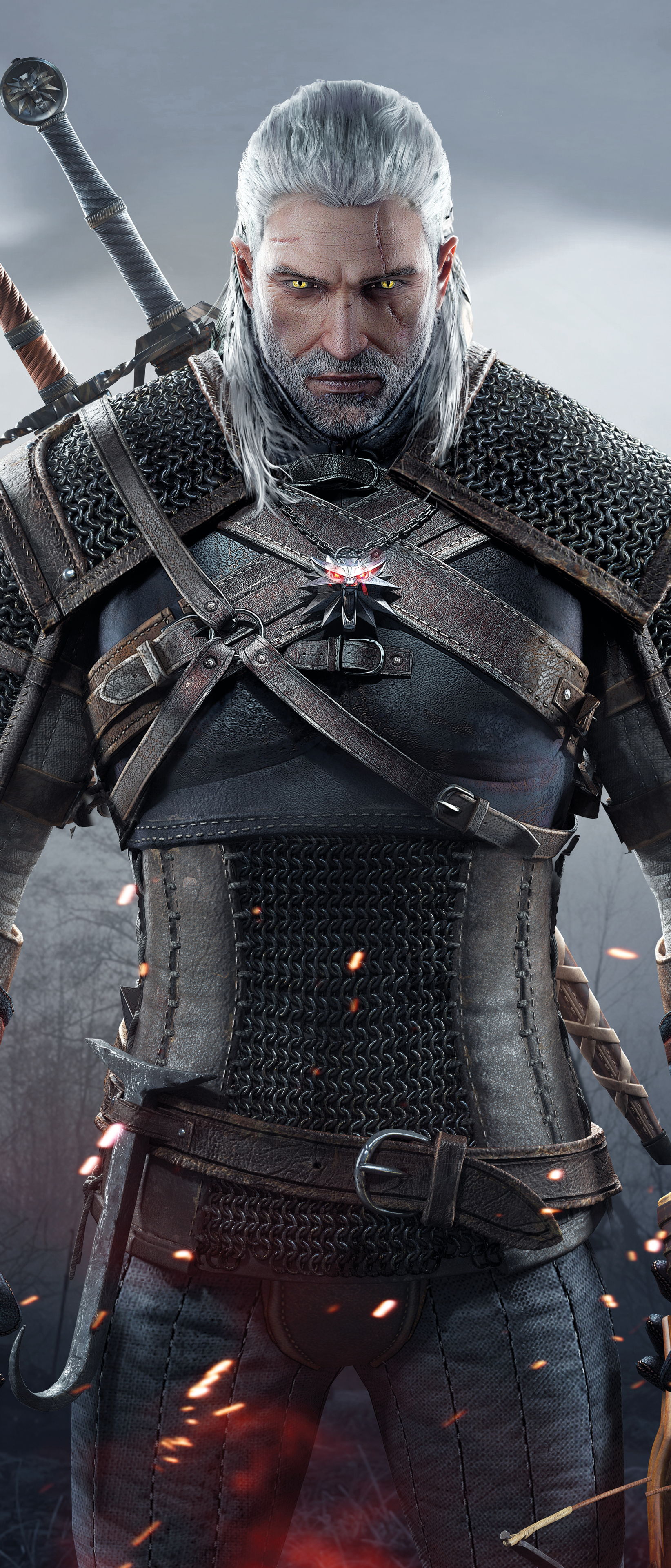 1644x3840  The Witcher 3: Wild Hunt Phone Wallpapers