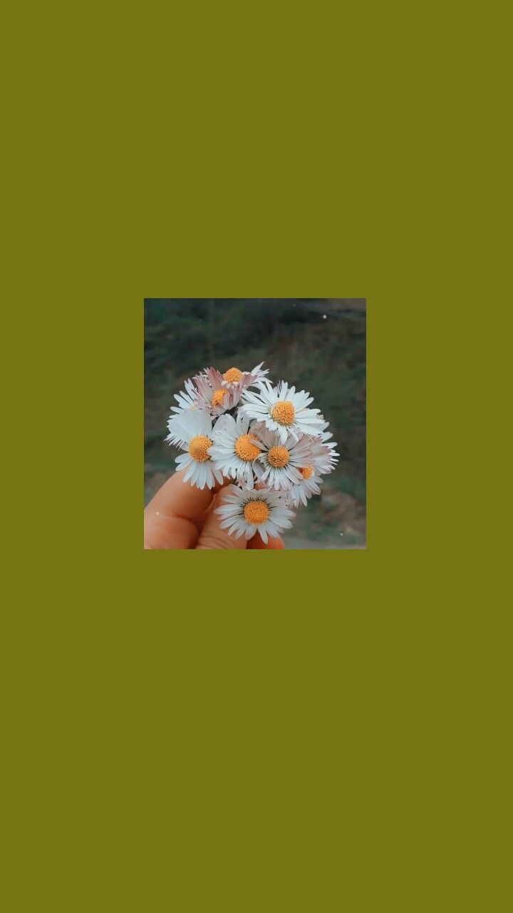 720x1280  Wallpaper | Обои на телефон | Обои, Покраска обоев, Летние обои