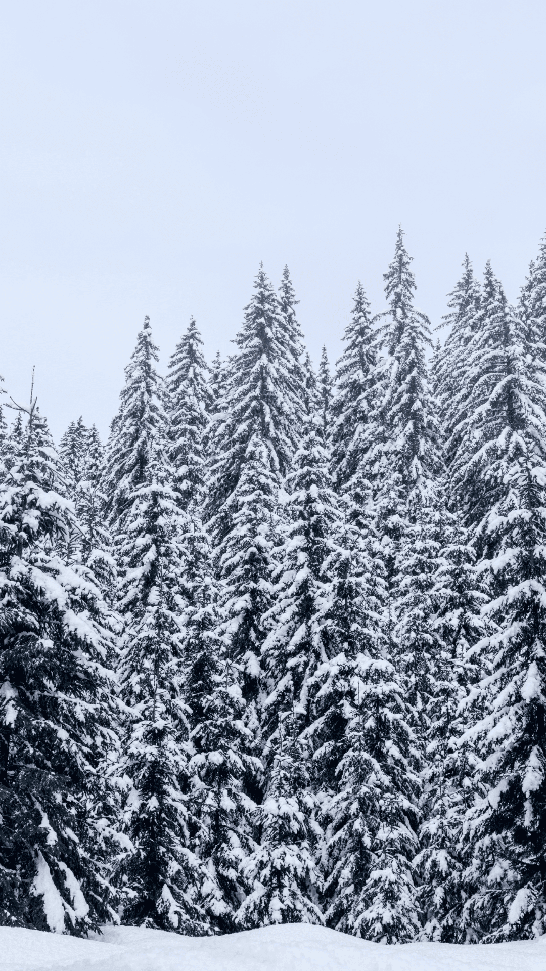 1080x1920  100 удивительных зимних обоев на компьютер и телефон – Canva