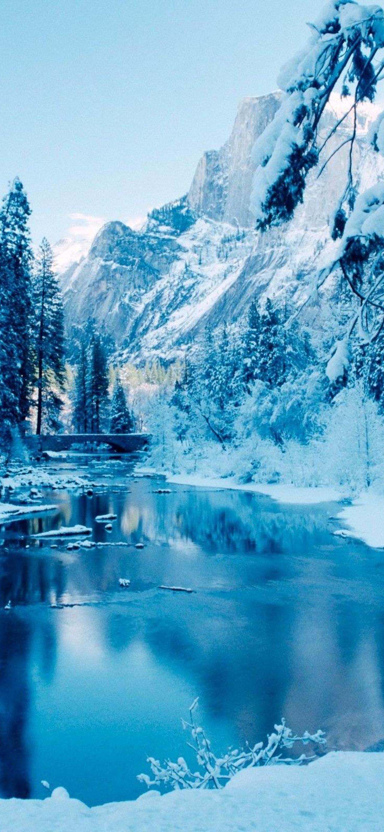 1284x2778  Зимние пейзажи обои на телефон [33+ изображений]