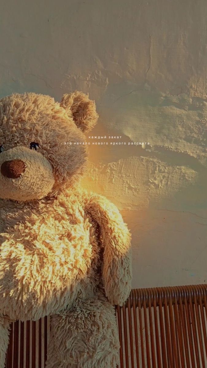 675x1200  Обои с мишками - 66 фото