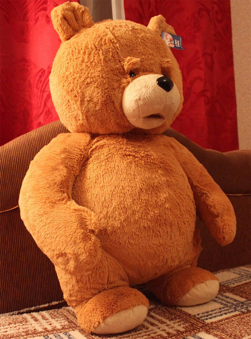 800x1081  Мишка Тедди обои на телефон (22 фото)