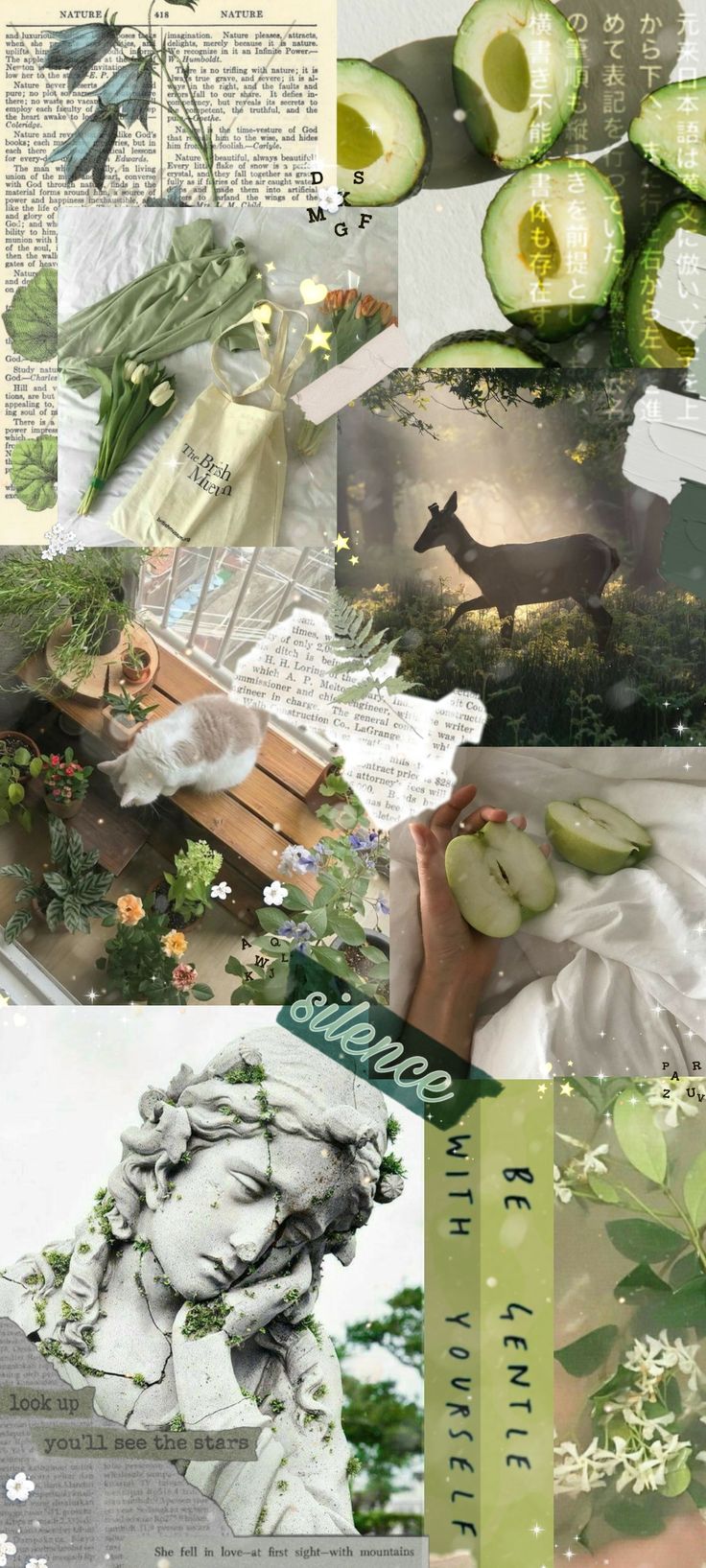 736x1635  Зелёные обои / green wallpaper | Зеленые обои, Зеленые картины,  Металлические обои