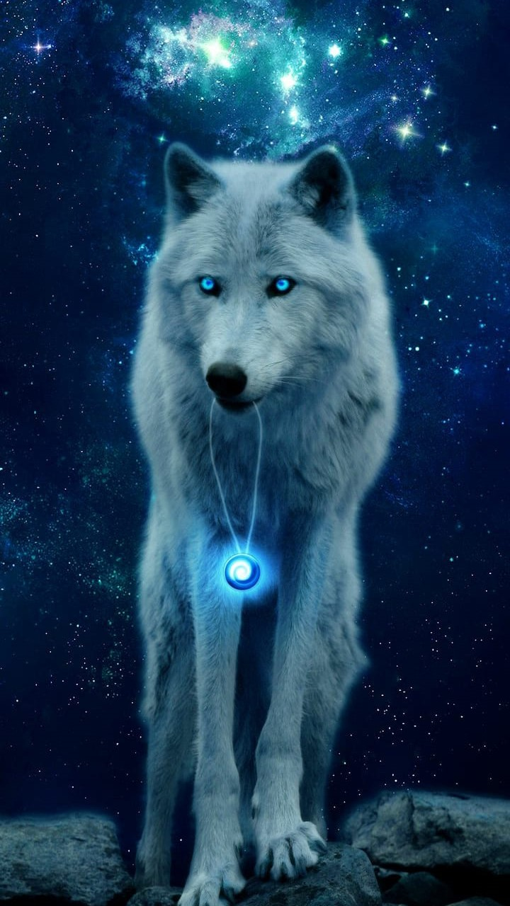 720x1280  Крутые обои на телефон HD Wallpapers