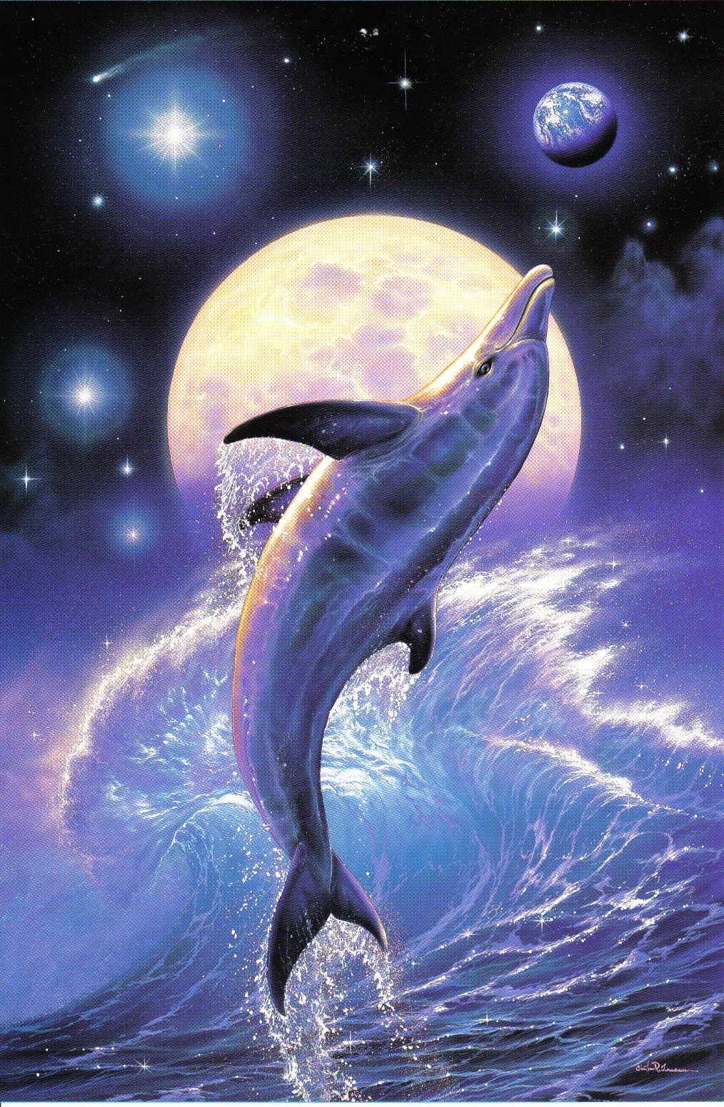 1014x1551  Дельфин обои на телефон, Дельфин HD картинки, фото скачать бесплатно