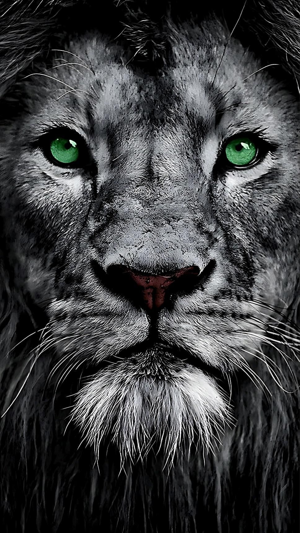 968x1720  Крутые обои в 2023 г | Лев фотографии, Морды животных, Лев живопись