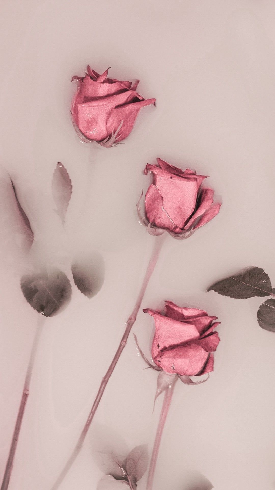 1080x1920  Pin by Анастасия Маркитанова on Обои для телефона | Floral wallpaper  iphone, Flower phone wallpaper, Pink wallpaper iphone