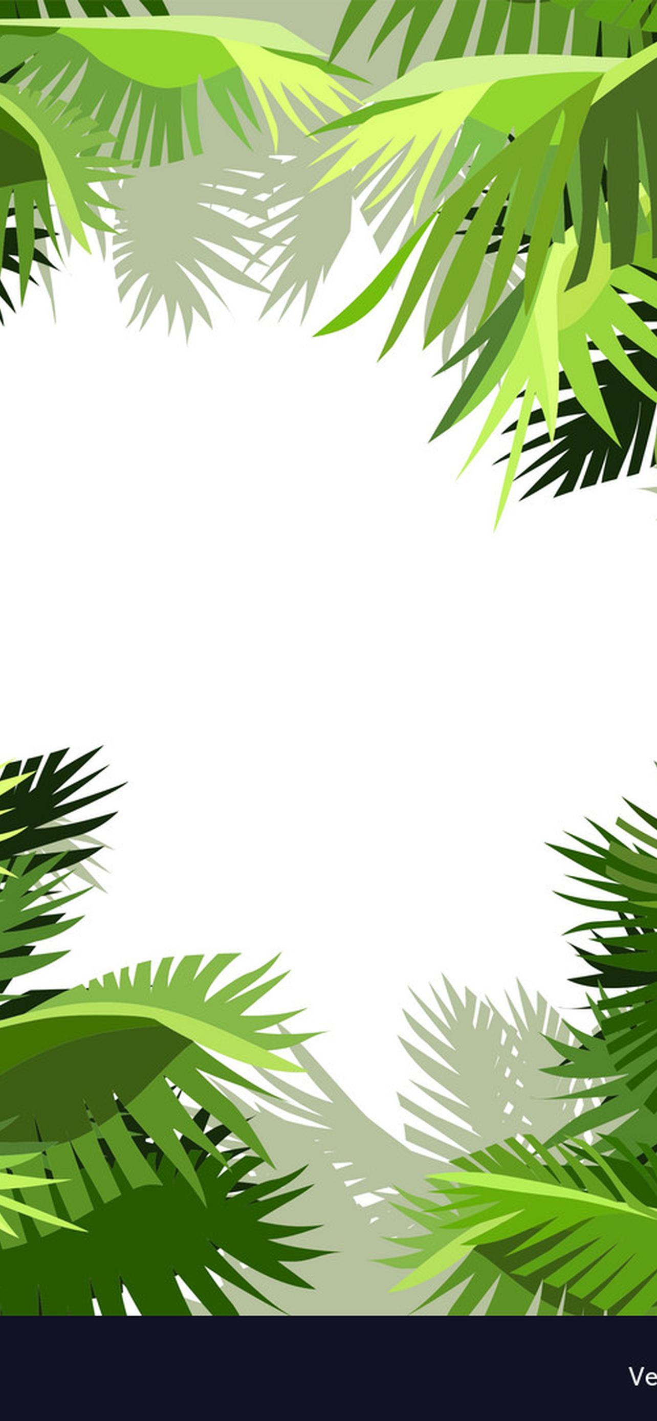 1284x2778  Пальмовые листья обои на телефон [21+ изображений]