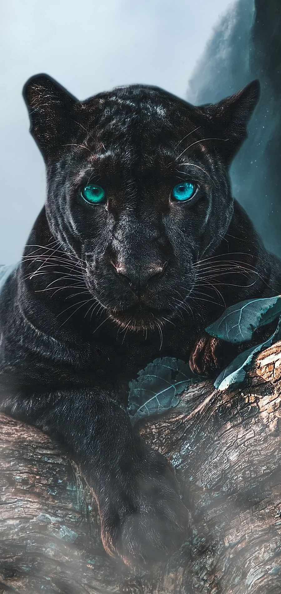 900x1901  Black Panther Predator IPhone Wallpaper - IPhone Wallpapers : iPhone  Wallpapers | Black jaguar animal, Jaguar animal, Panther pictures