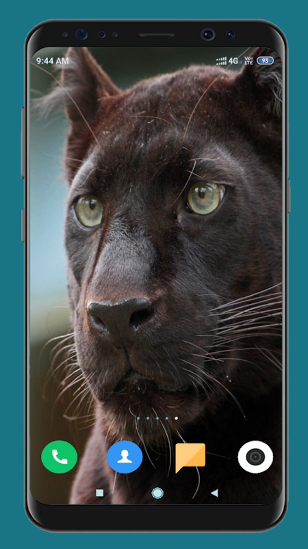 1020x1813  Обои черная пантера скачать бесплатно 7070721 - Androfon.ru