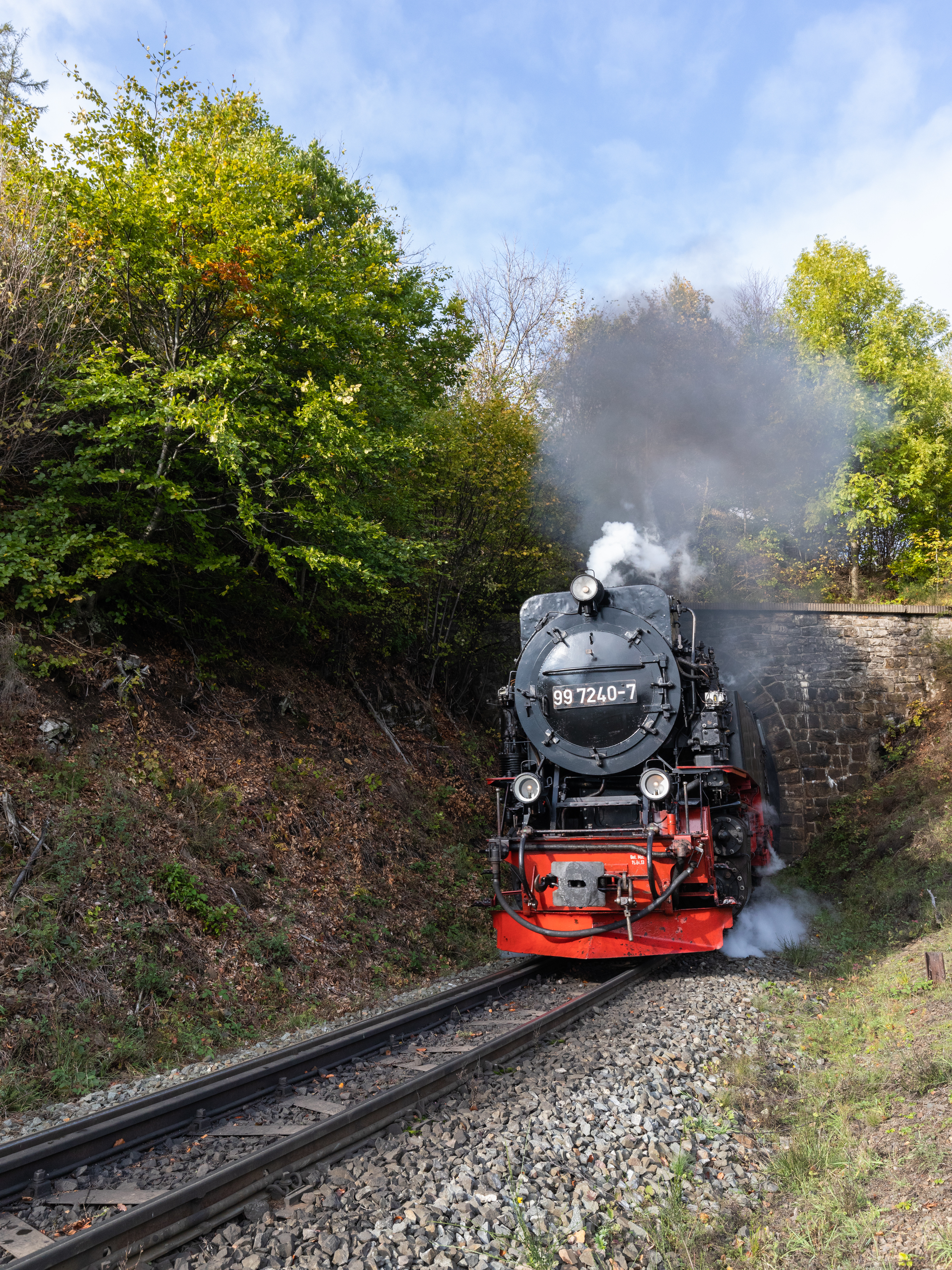 4480x5974  Скачать обои \"Паровоз\" на телефон в высоком качестве, вертикальные картинки  \"Паровоз\" бесплатно