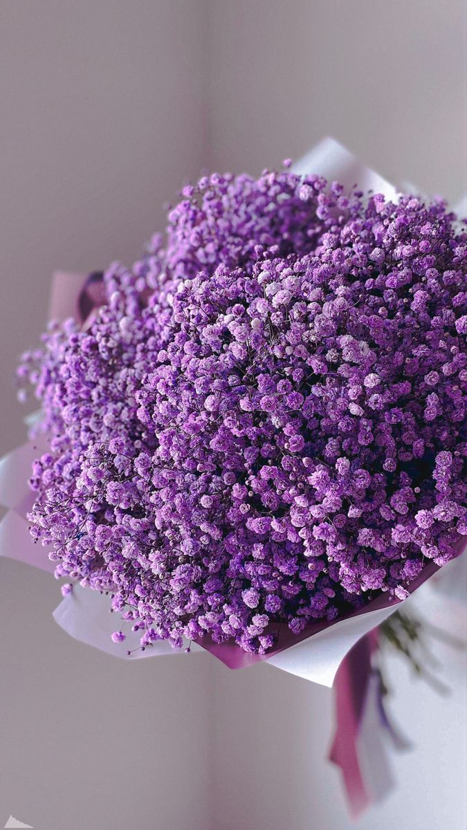 675x1200  Обои для телефона в HD качестве | Purple flowers wallpaper, Purple flowers,  Luxury flowers