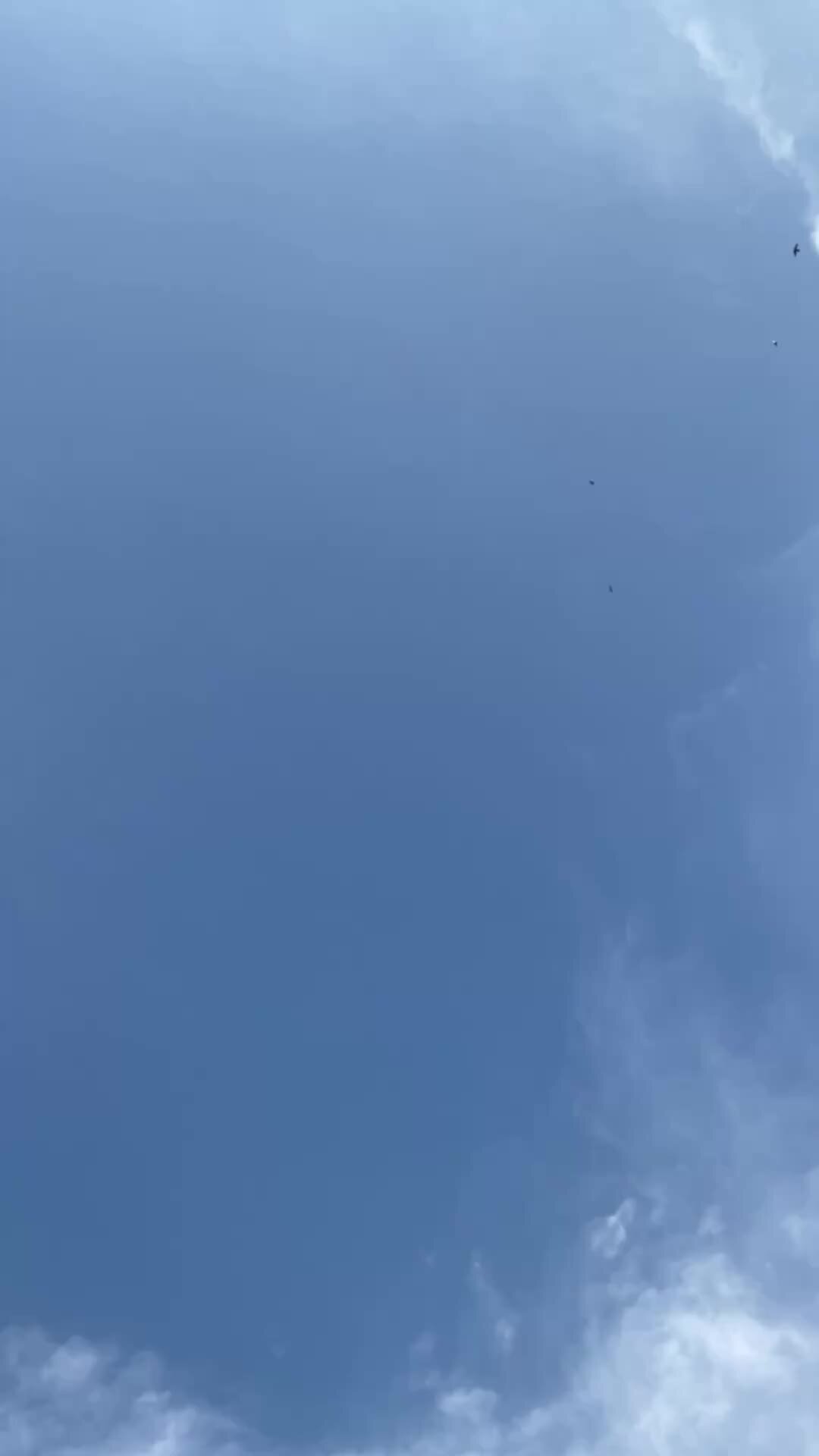 1080x1920  Наша уютная семья🌸 | Идея для фото/видео,обои на телефон😀👍🏻#идеидляфото  #обоинателефон #любовь#фотосессия | Дзен