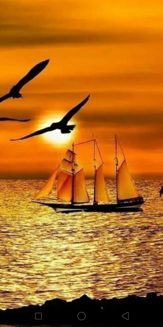 640x1280  Обои на телефон | Пикабу