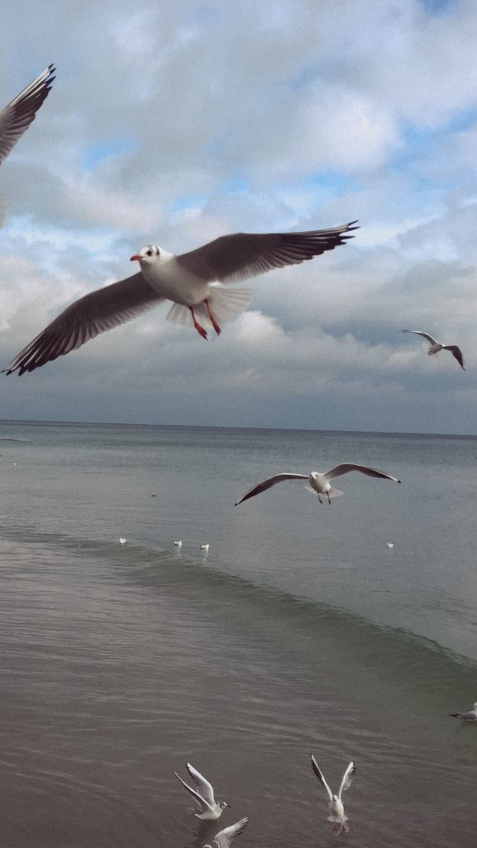 675x1200  Обои для телефона в 2023 г | Обои для телефона, Эстетика, Обои