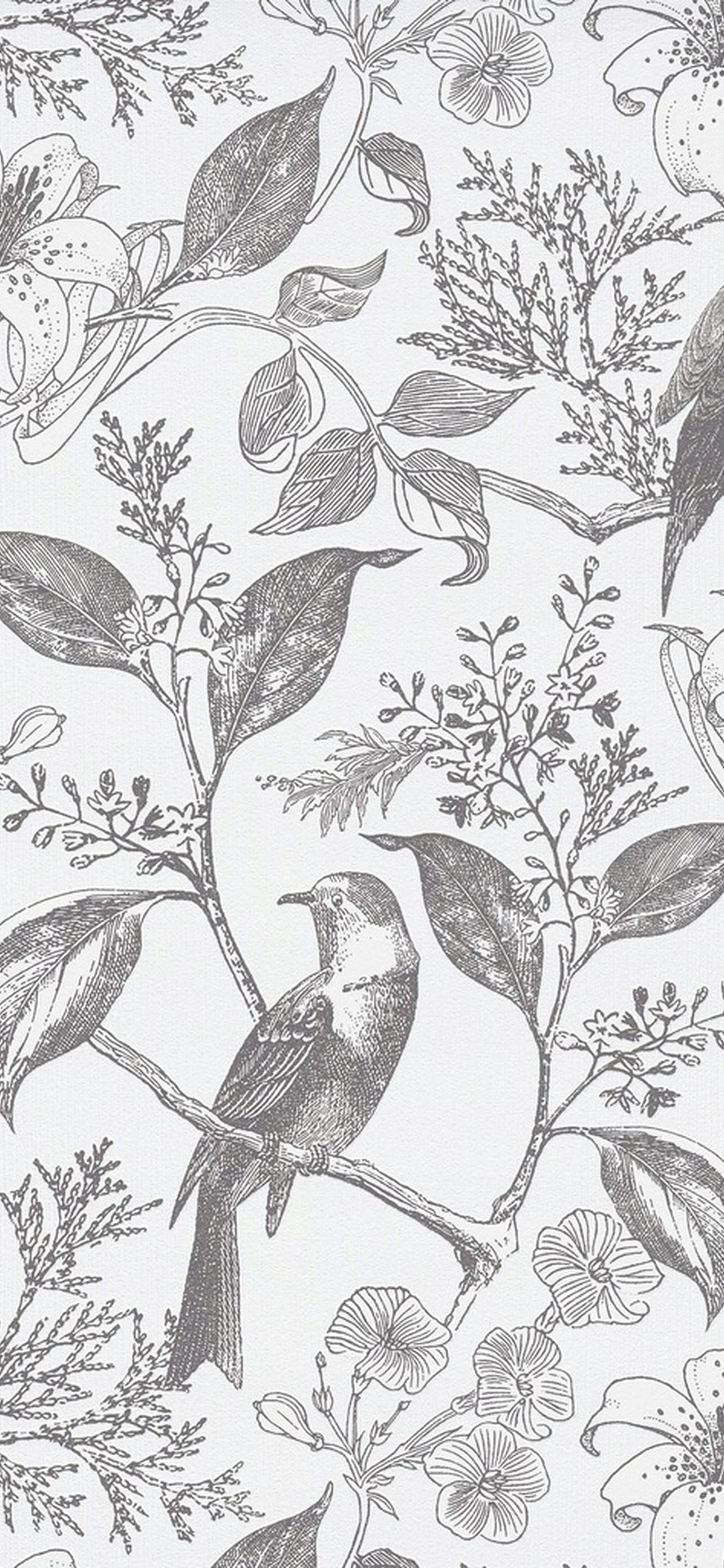 1284x2778  Птицы обои на телефон [48+ изображений]