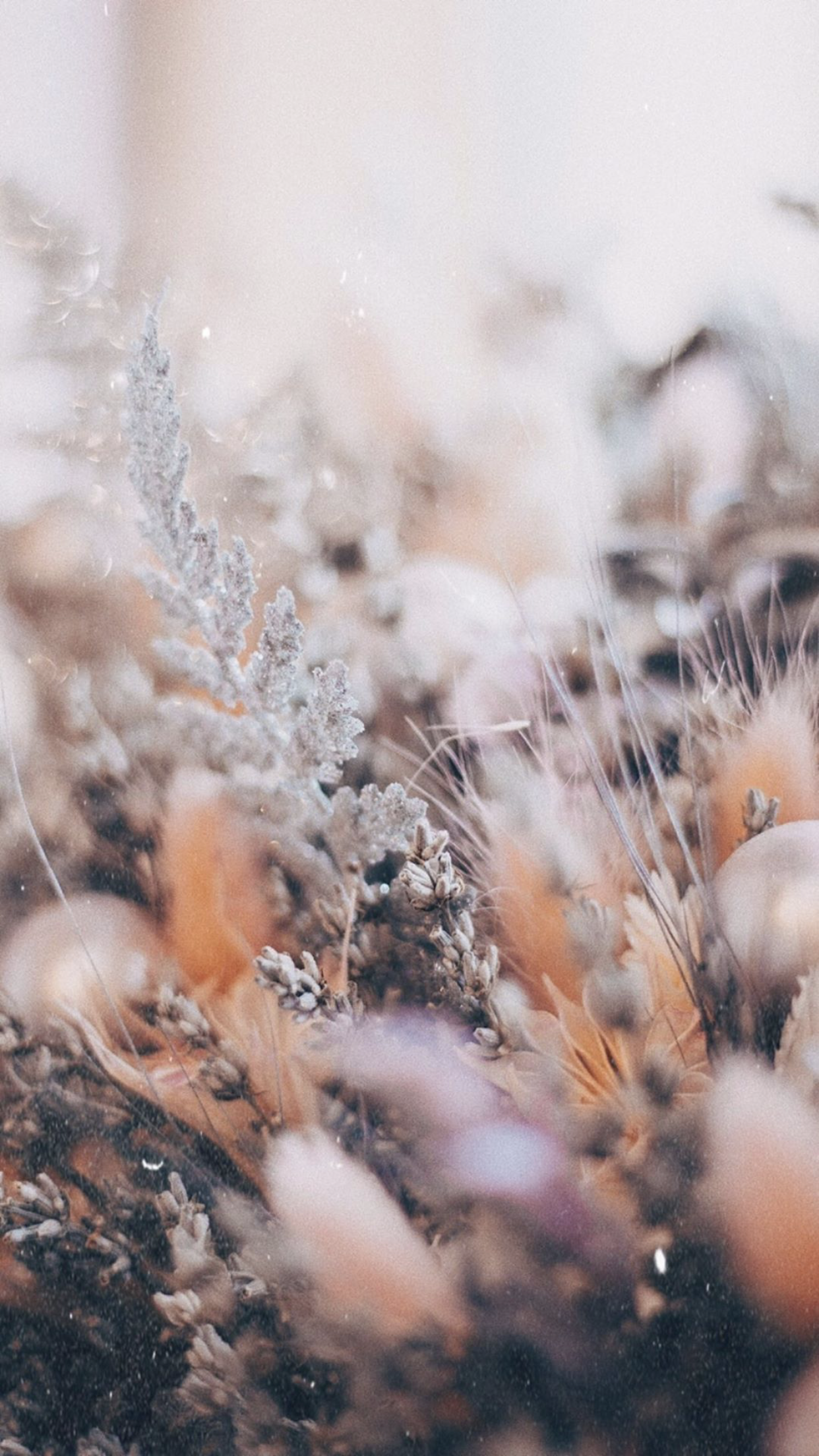 1242x2208  Обои на телефон mood, dream, instagram | Wallpaper, Instagram, Around the  worlds