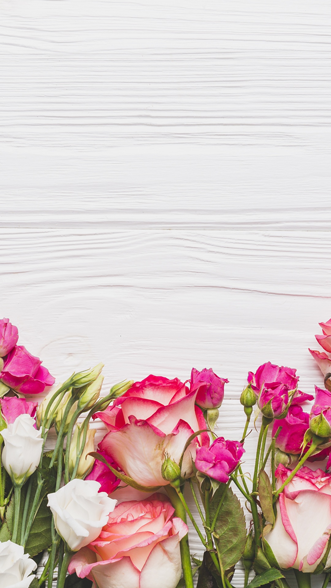 1080x1920  Обои для рабочего стола Розы Цветы Шаблон поздравительной 1080x1920