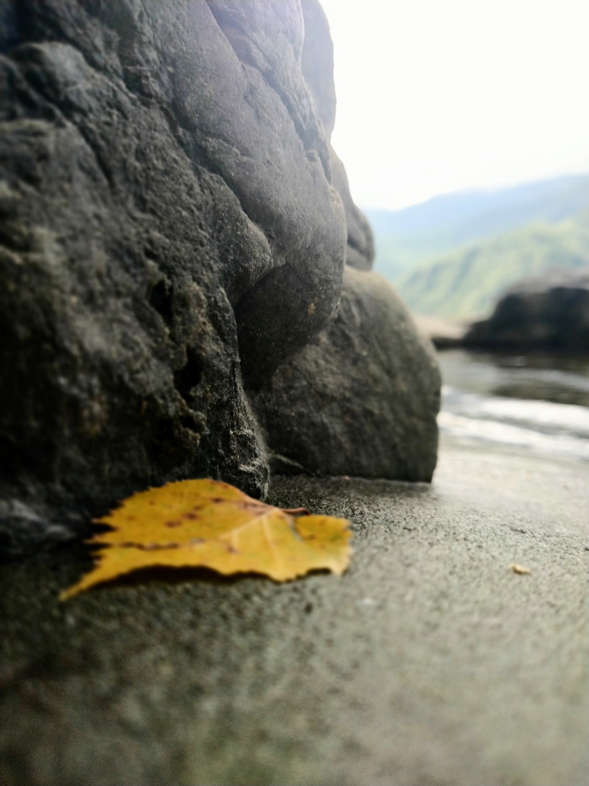 2048x2731  Для обоев на телефон | Пикабу