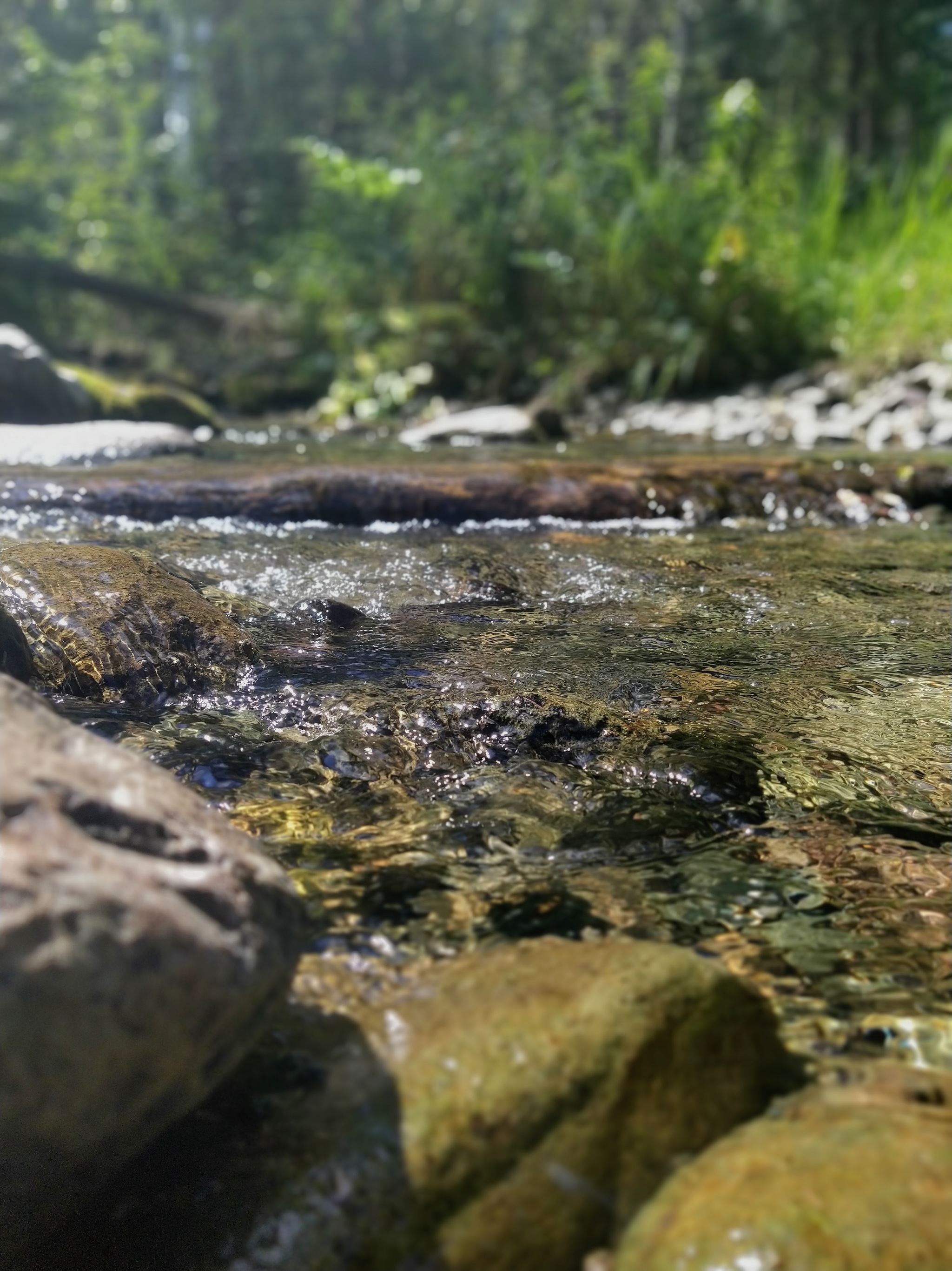 2048x2731  Для обоев на телефон | Пикабу